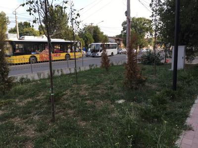 Прикрепленное изображение: IMG_1213.JPG